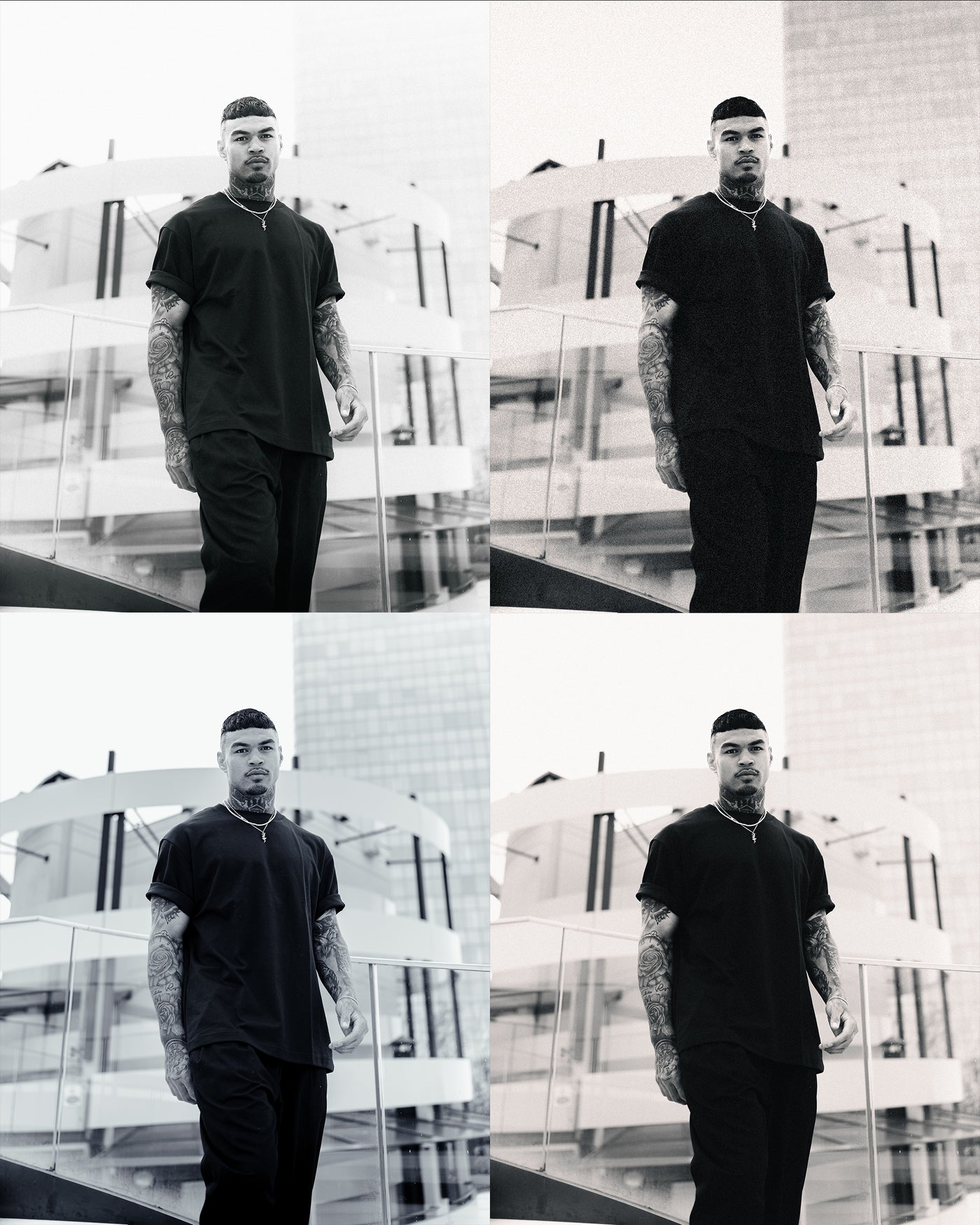 Black and White Edition Presets