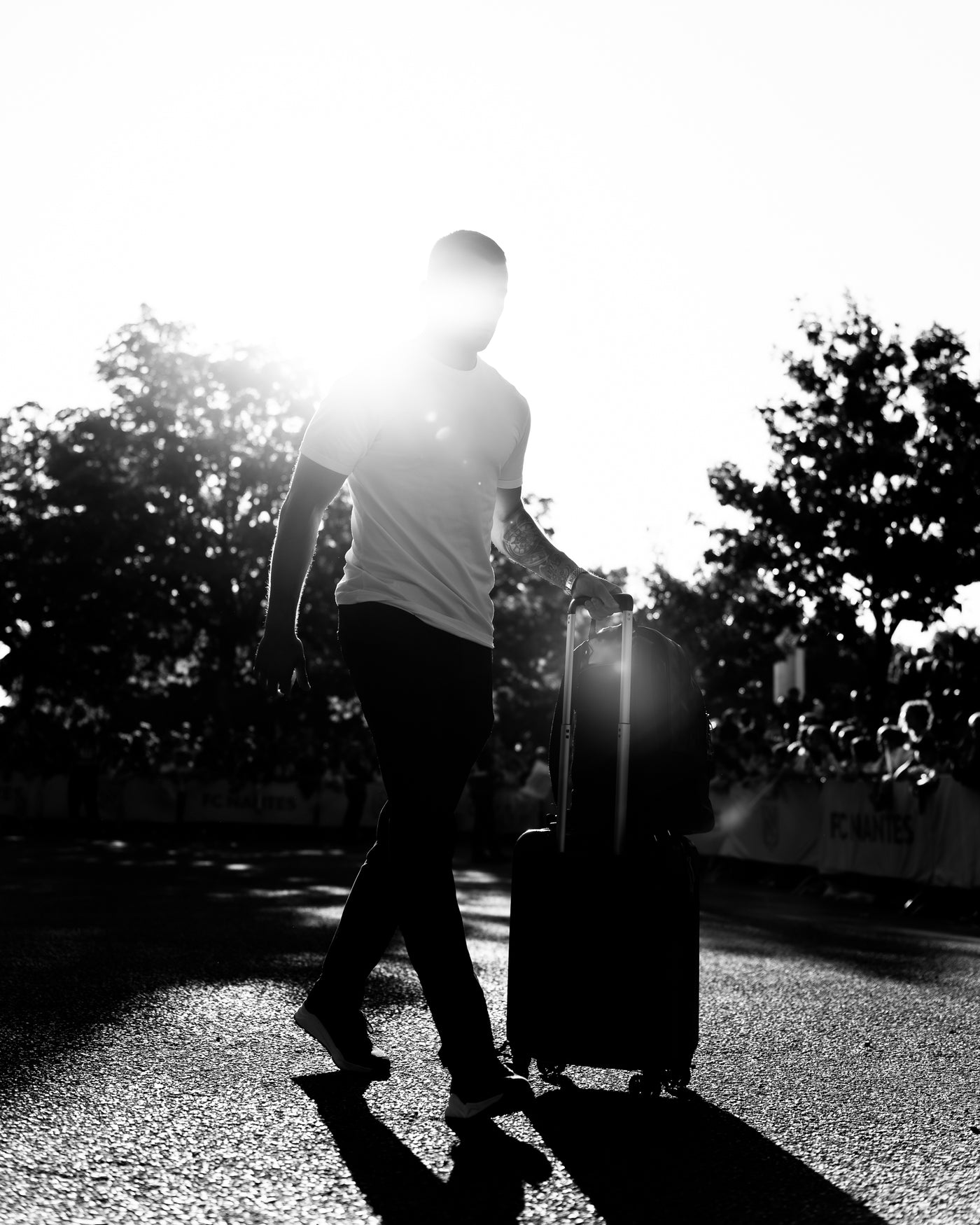 Black and White Edition Presets